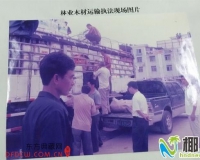 价值800万元花梨木蒸发后续:有人非法转移