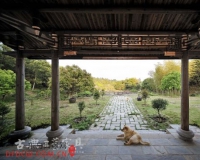 山居设计:待有闲情上山住
