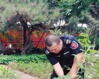 沈阳故宫周围菜地已清理 居民:种菜者都是老太太