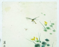 潘君诺《蜻蜓捕蚊图》尺页赏析