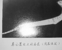 大堡子山流失文物的漫漫追索路