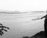 �����ұ����ɱ����� ר�ҳ�������ļ�ֵ���ɹ���