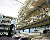 海关破获多起象牙走私案:象牙及制品不能随便入境