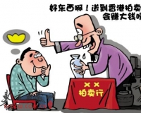 250元假玉估价70万:所谓专家只是收钱傀儡