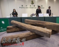 香港破获92吨大叶黄花梨走私案:为十年来最大宗