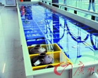 南海I号考古挖掘第二阶段:出土数百件金器瓷器