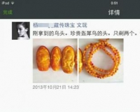 微信圈隐秘生意:女演员非法贩卖犀牛角日赚32万