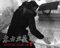 陕西昭陵国家一级文物被曝遭私拓以高价出售