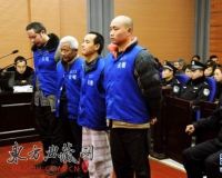 重庆云阳盗卖三峡珍贵文物案开审