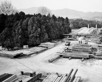 明孝陵大金门将加固:监测体系将覆盖明孝陵