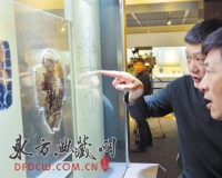 甲骨文青铜器文物亮相长沙