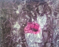 陶冬冬《贵妃醉酒》系列作品开展