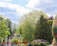 ��˹���ָ�ľ����6��������˷�������