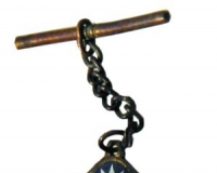 ��ʿ�ڡ������ռǡ��״�չ��