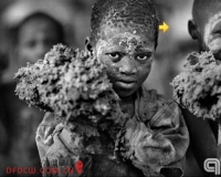 2013���������Ӱʦ������Ʒ�׶�չ��