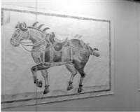 ��̫�׼Ҳ���������ͬչ չ�����ܶ����ܶ����