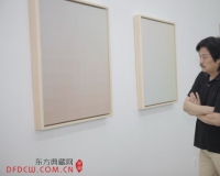 DS������չ�������������ҳ�����Ʒ