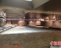 �Ͼ���������ݿ����ڼ� ǧ�����ｫ��������ɴ