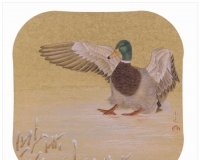 ��СԪ���ʻ�����չ����վ��Ļ