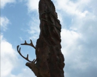 �������������ڸ�չ����������������