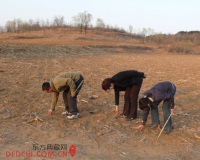 ��С�����������ݣ����С�������û��