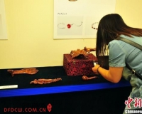 ���ϻƻ����Ļ�����չ�ڶ�������