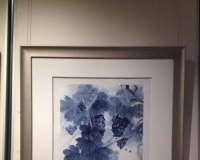 �����������������������չ�ھ��ٰ�