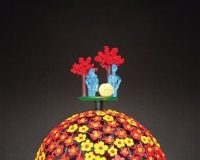 ������������չ�������