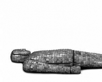 ����Ĺ�������µ�456���������ｫ����չ��(ͼ)