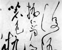 鷨ҪϰҪ