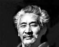 陈传席:石鲁有第一流的素质第二流的才情