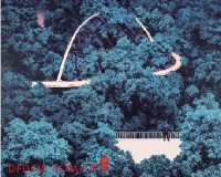 大学美术馆应注重知识生产