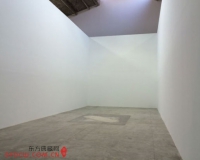 不在图像中行动:艺术还可怎样做