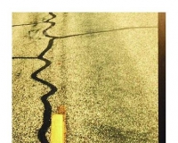 ΢��Ӱ��һ�ֶ������������̬��(ͼ)