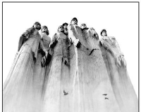 摄影名家揭秘金奖照片幕后故事