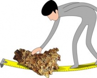 为什么人人都怕狗头金被充公