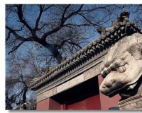 法源寺:胡同深处有佛学高等学府