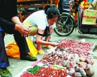 行业标准缺失成发展短板 南红还能疯多久