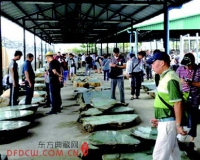 翡翠价格高昂:面粉太贵面包无人买