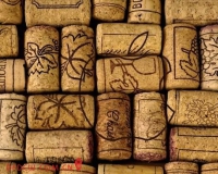 全世界的葡萄酒越来越便宜吗