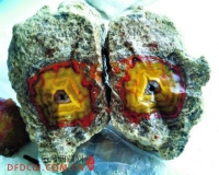 战国红玛瑙:投资收藏机遇