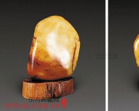 ɽΪʲôԽԽ٣ܶ౻ð