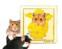 豪华邮币衍生品多是金玉其外