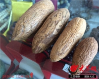 千眼菩提打磨出售像赌石走俏德州文玩市场