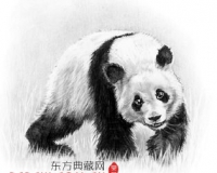 Ǧʻè豹