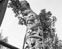 活树雕刻是残忍还是艺术