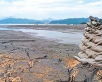 九蛙叠像雕塑在台湾日月潭中现真容