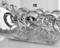 22处体育雕塑将成南京新景观