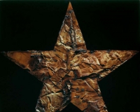 冷军的超写实五角星