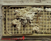 刘钢:冷军的作品《病床》